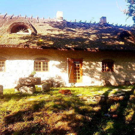 Paali Cottages Tornimae Exteriör bild